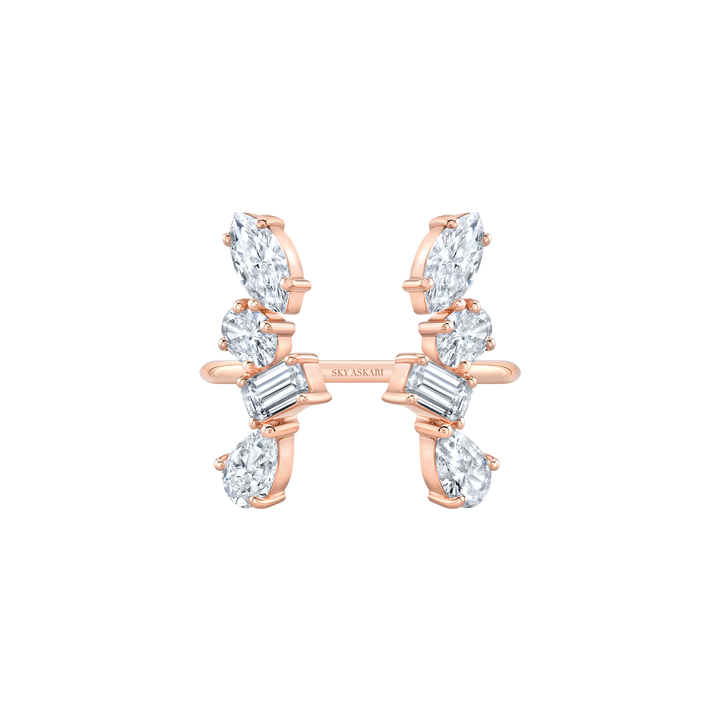 Multi-Shaped Split Ring